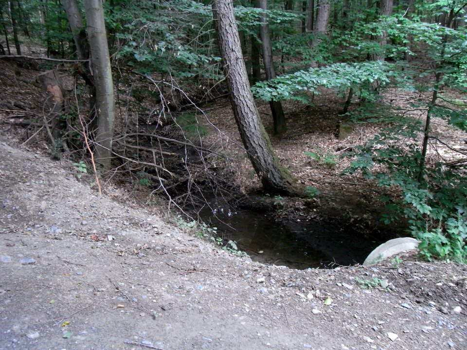 Markbach Einlass ober Hauptweg = Grenze R0019754