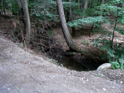 Markbach Einlass ober Hauptweg = Grenze R0019754