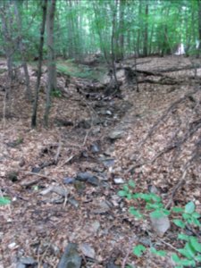 Markbach Zulauf links R0019795