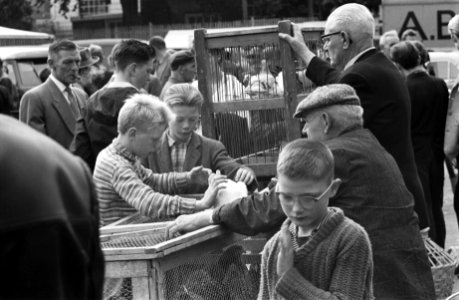 Markt op het Amstelveld, Bestanddeelnr 912-7905