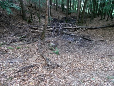 Markbach Quelle Zulauf Quellteich R0019785