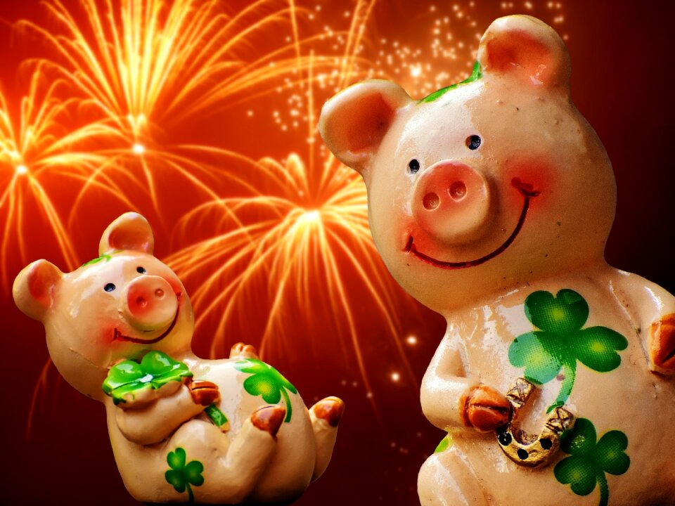 Cute lucky charm sow