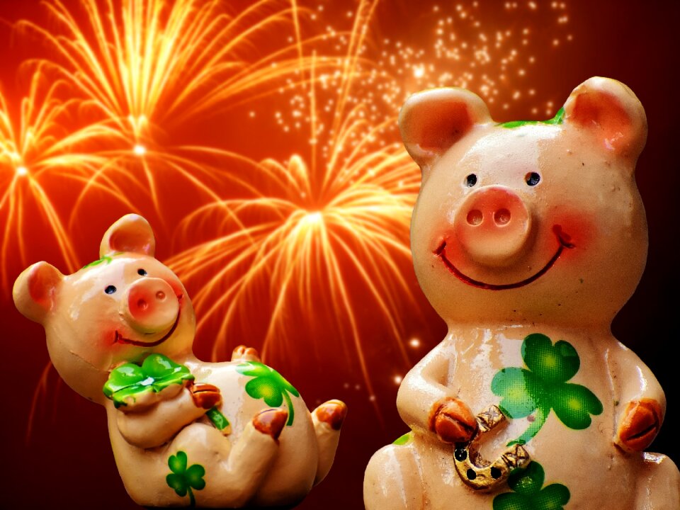 Cute lucky charm sow