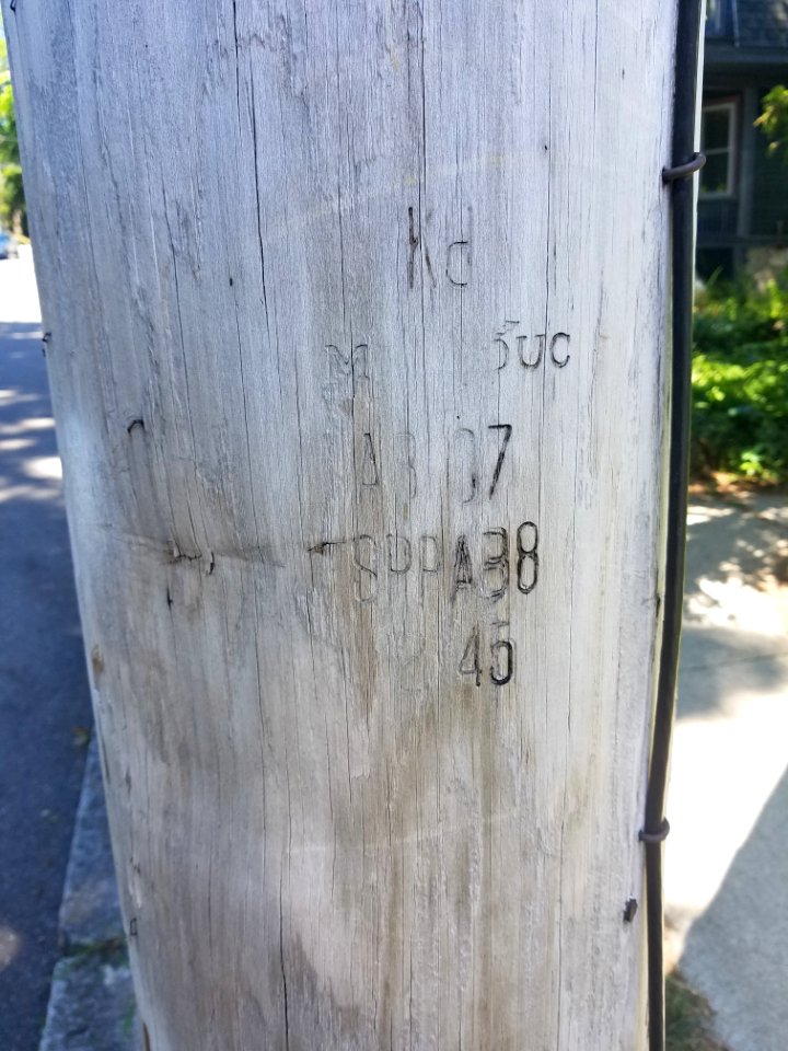 Marking - Utility pole - Arlington, MA - 20200617 103630