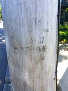 Marking - Utility pole - Arlington, MA - 20200617 103630