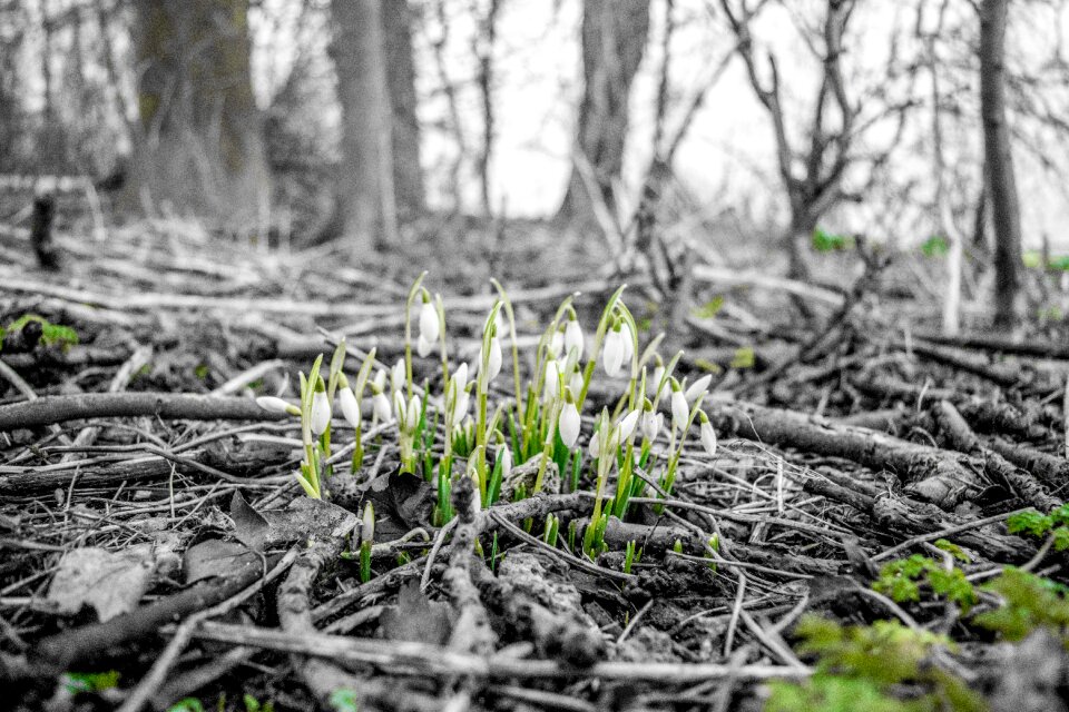 Grow plant green