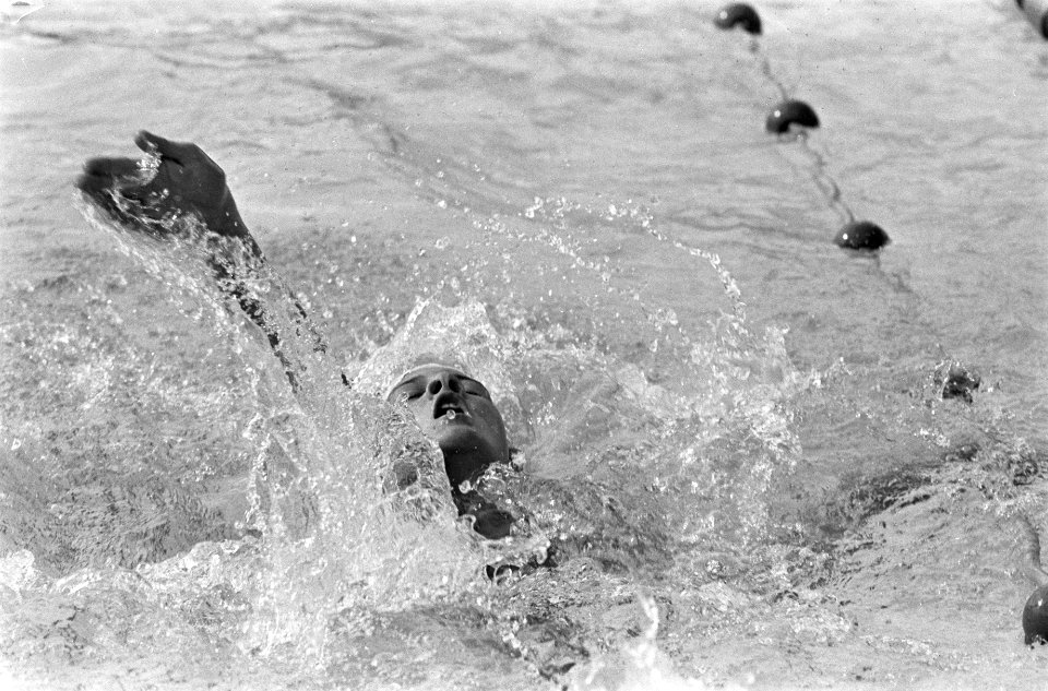 Marjan Janus in aktie (neg.nr. 28), Bestanddeelnr 920-5721
