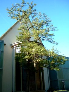 Markuskirche p 002
