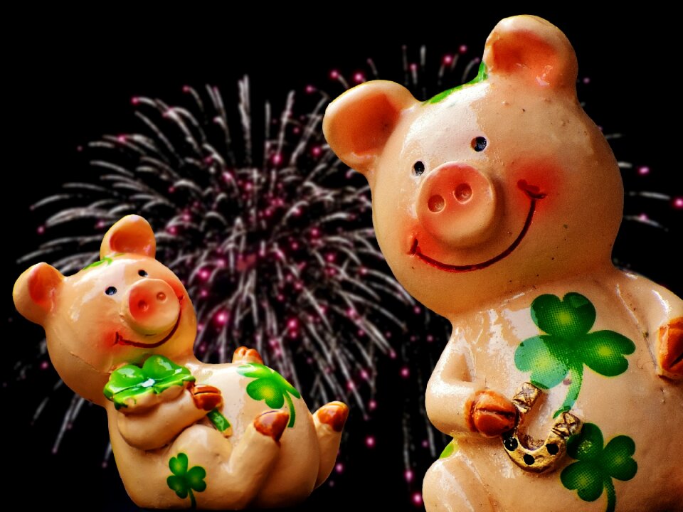 Cute lucky charm sow