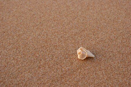 Summer costa sea