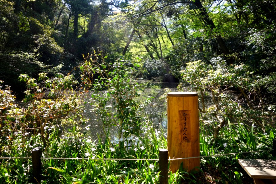 Marker - Institute for Nature Study, Tokyo - DSC02140