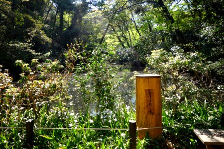 Marker - Institute for Nature Study, Tokyo - DSC02140