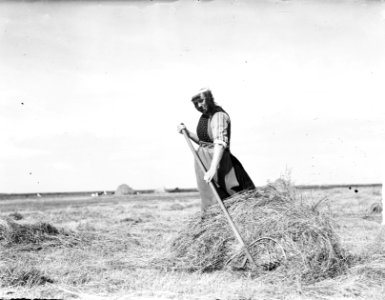 Marker boerin aan het hooien, Bestanddeelnr 903-4414