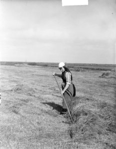 Marker boerin aan het hooien, Bestanddeelnr 903-4413