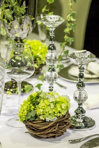 Beautiful fresh beauty banquet table photo