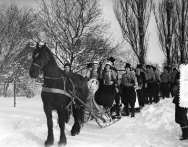Markerbruiloft op ijs Gouwzee, Bestanddeelnr 907-5957