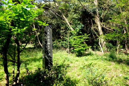 Marker - Institute for Nature Study, Tokyo - DSC02080