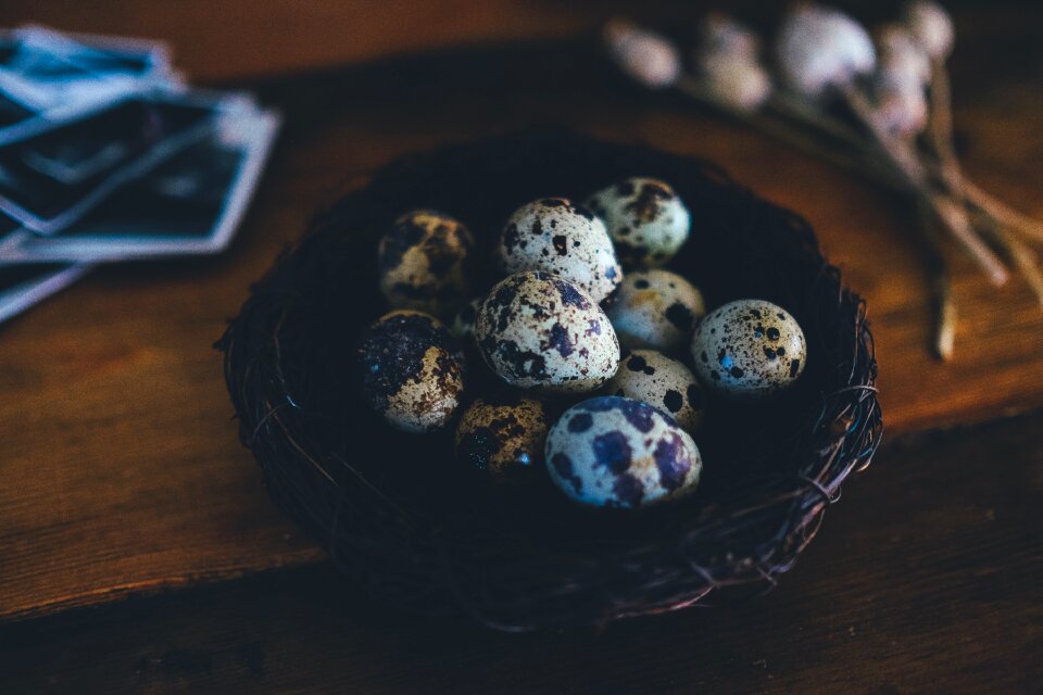 Indoors quail egg still life