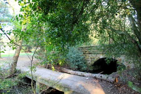 Meanwood Park 2019-04-22 (4)