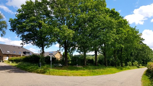 Mechelen-wegkruis Bommerigerweg-Kleebergerweg (1)