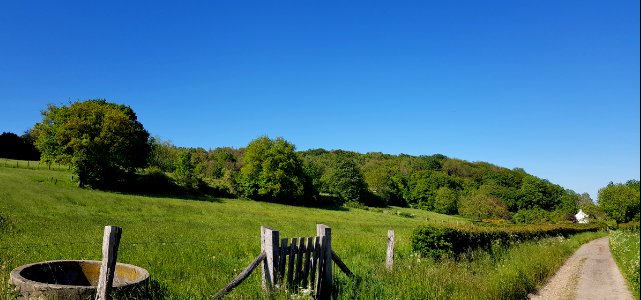 Mechelen-Schweibergerbos (6)