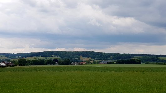Mechelen-Schweibergerbos (8)