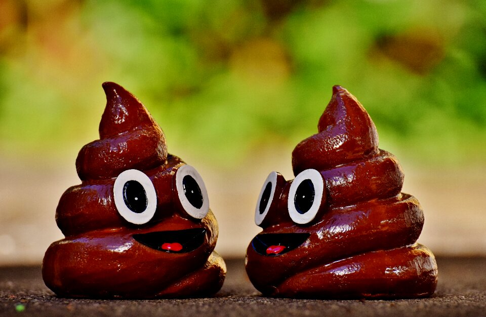 Poop piggy bank figures