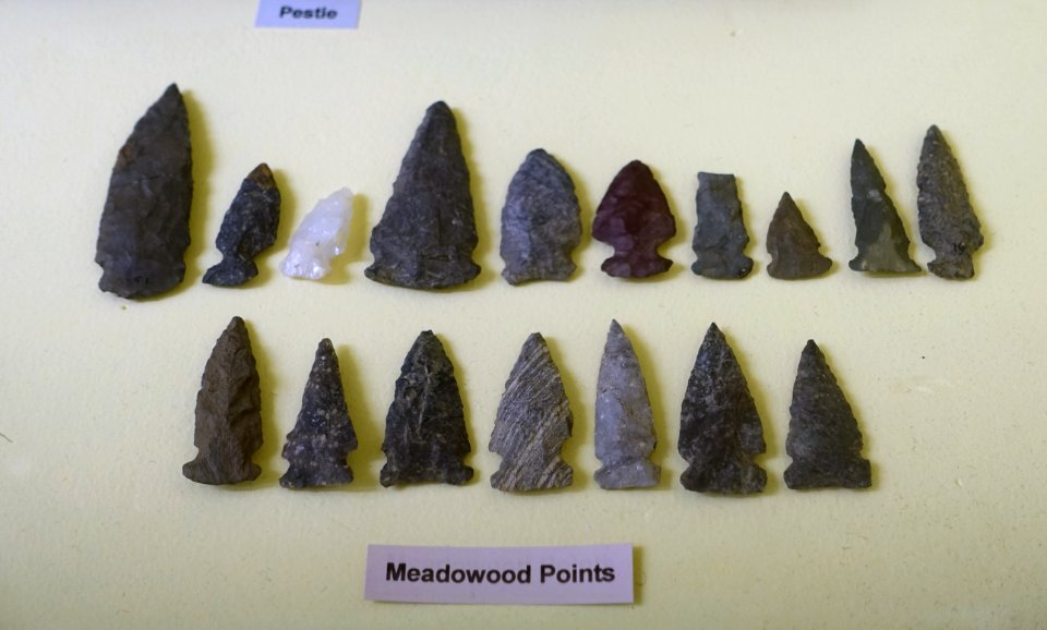 Meadowood points - Early Woodland collection - Robbins Museum - Middleborough, Massachusetts - DSC03830