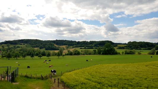 Mechelen-Schweibergerbos (9)