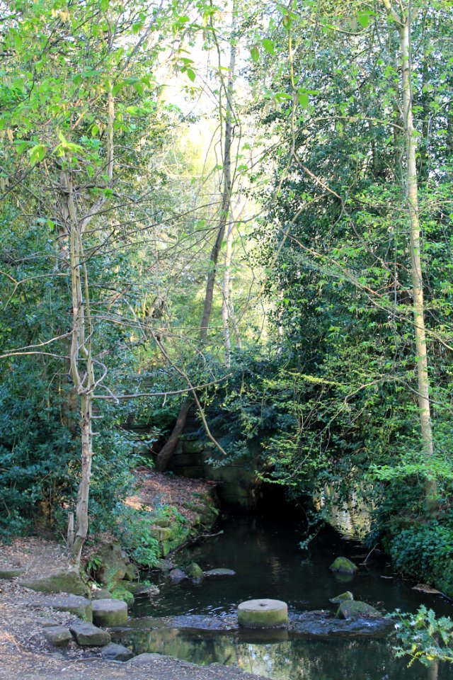 Meanwood Park 2019-04-22 (7)