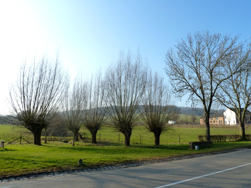 Mechelen-Landeus (2)
