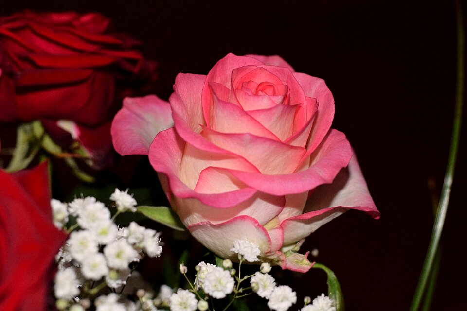 Bloom petals bouquet