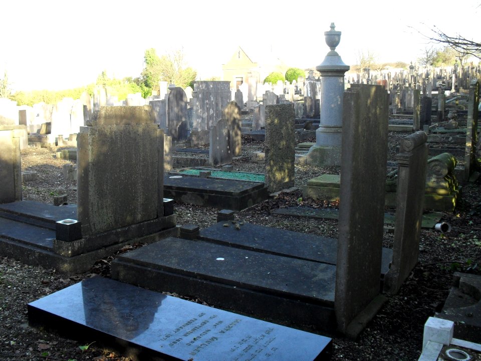 Meadowview Jewish Cemetery, Meadowview, Brighton (February 2011) (14)