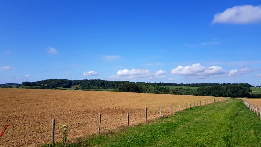 Mechelen-Schweibergerbos (1)