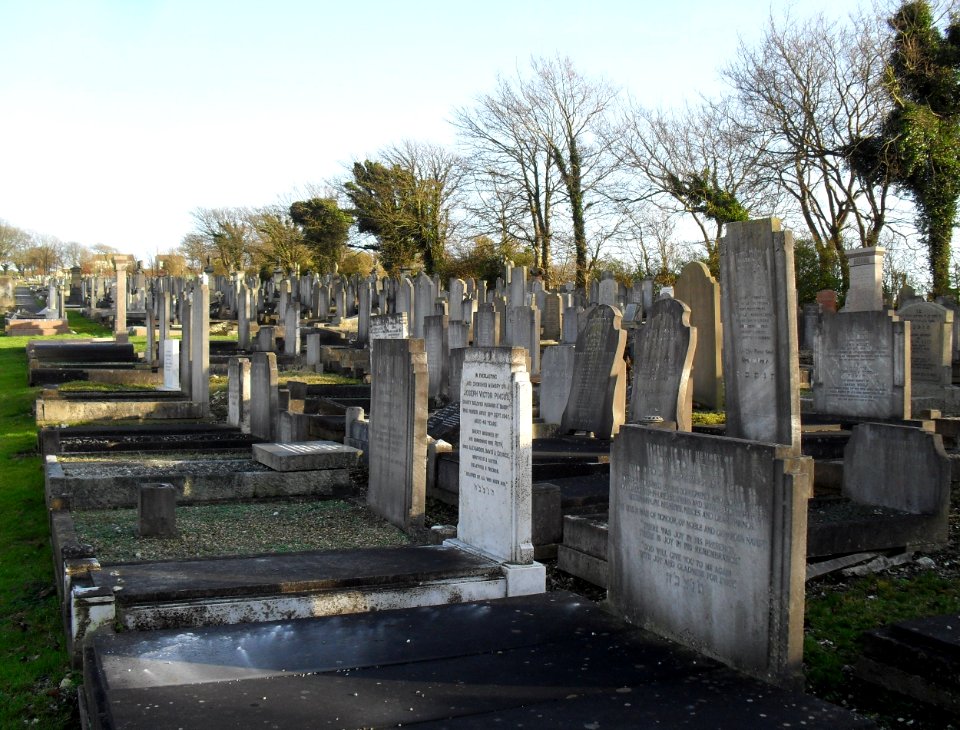 Meadowview Jewish Cemetery, Meadowview, Brighton (February 2011) (12)