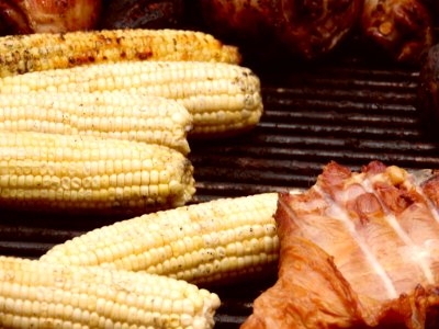 Meat And Corn On The Grill (220906045)