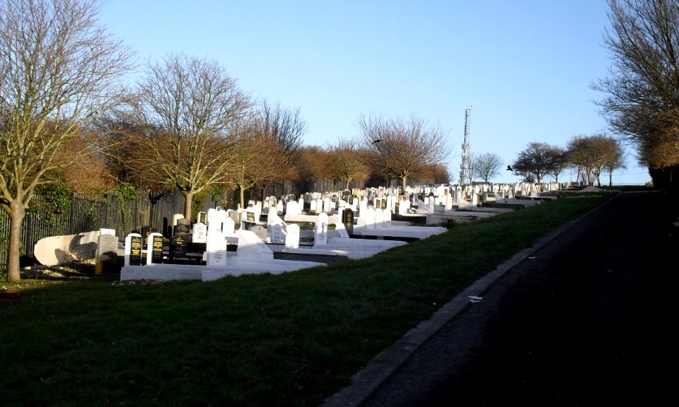 Meadowview Jewish Cemetery, Meadowview, Brighton (February 2011) (9)