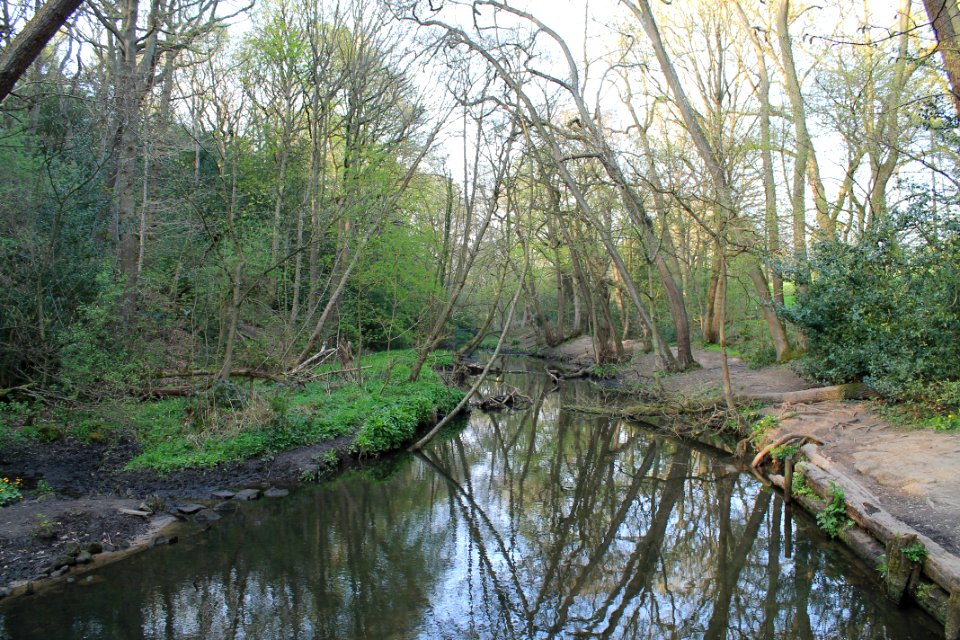 Meanwood Park 2019-04-22 (1)