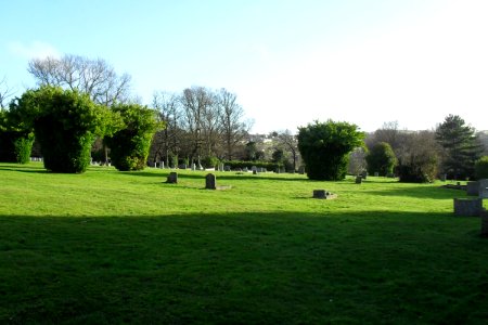 Meadowview Jewish Cemetery, Meadowview, Brighton (February 2011) (19)