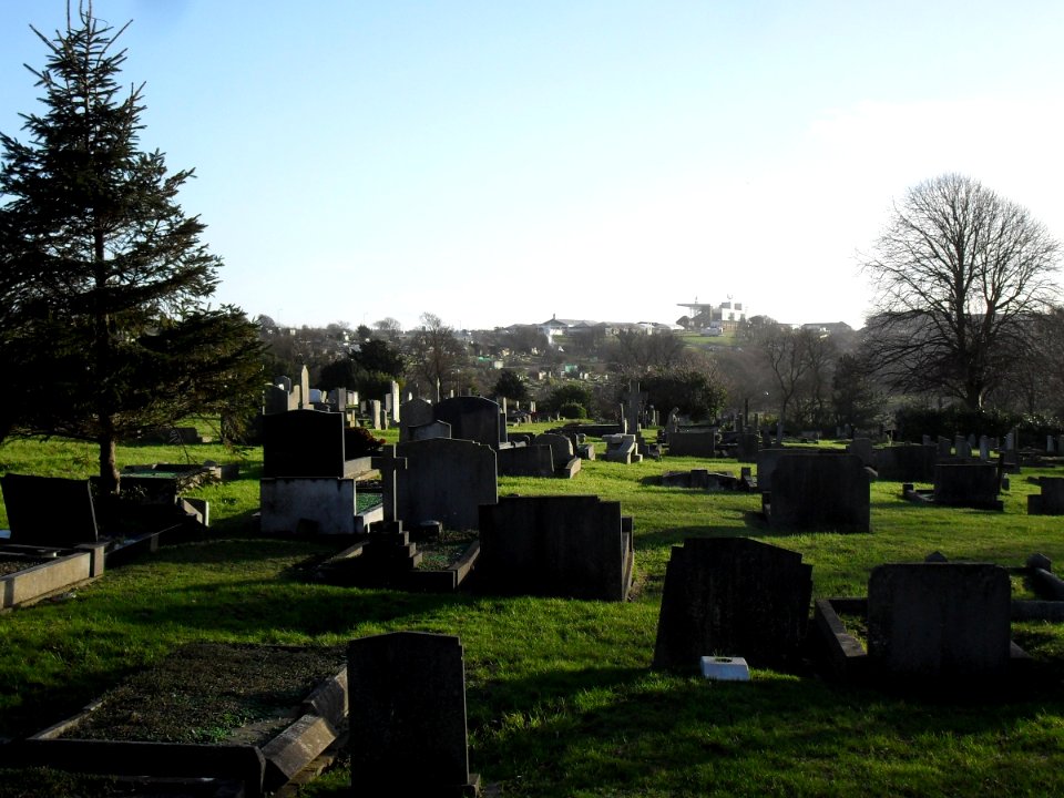 Meadowview Jewish Cemetery, Meadowview, Brighton (February 2011) (4)