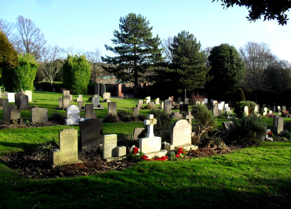 Meadowview Jewish Cemetery, Meadowview, Brighton (February 2011) (20)
