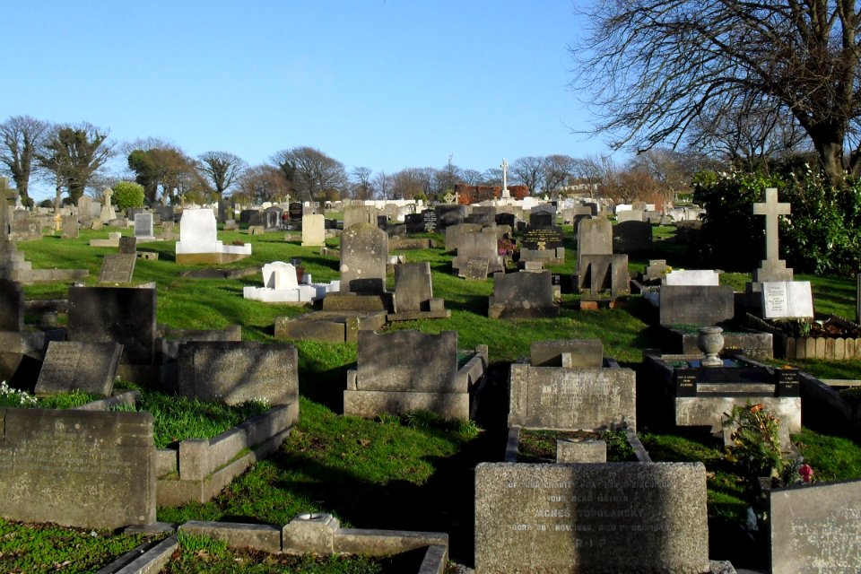 Meadowview Jewish Cemetery, Meadowview, Brighton (February 2011) (16)