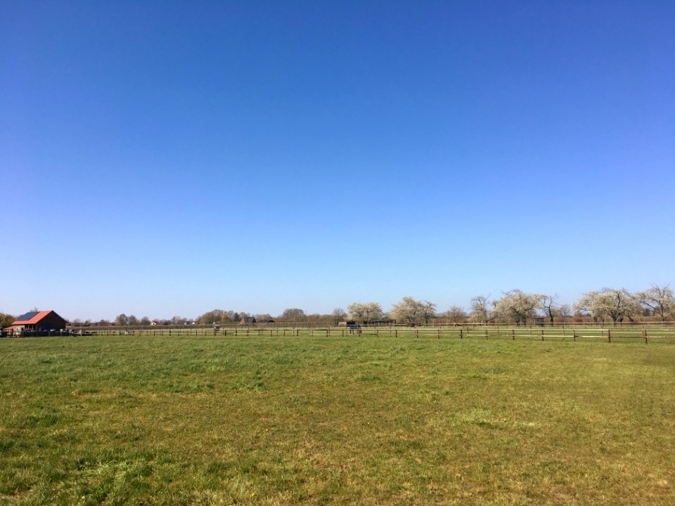 Meadows near Thornsburg 'Doornenburg'