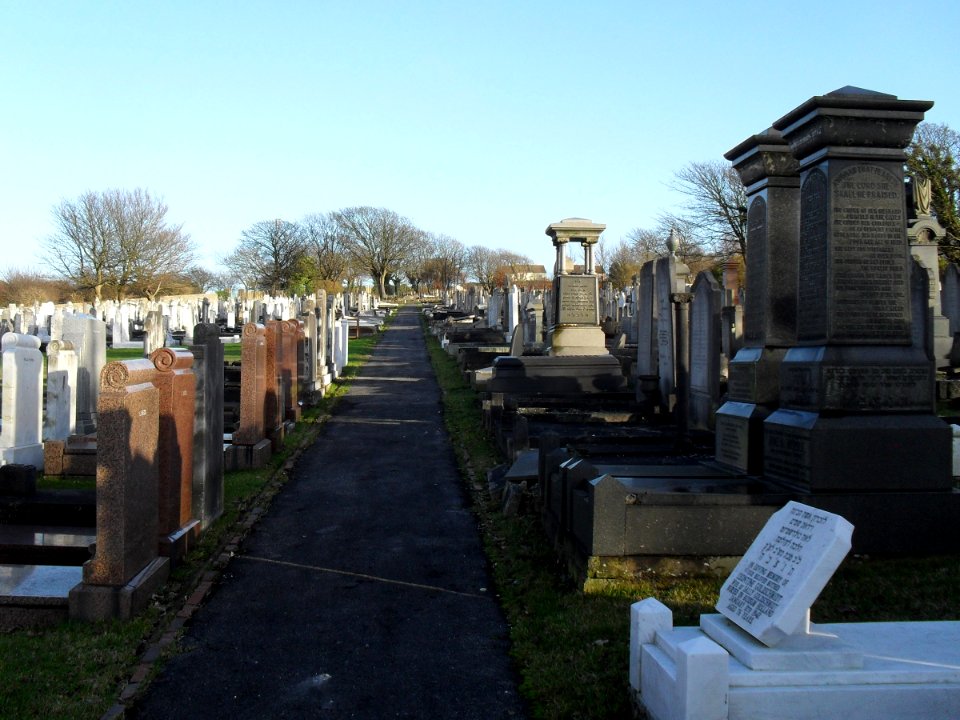 Meadowview Jewish Cemetery, Meadowview, Brighton (February 2011) (7)