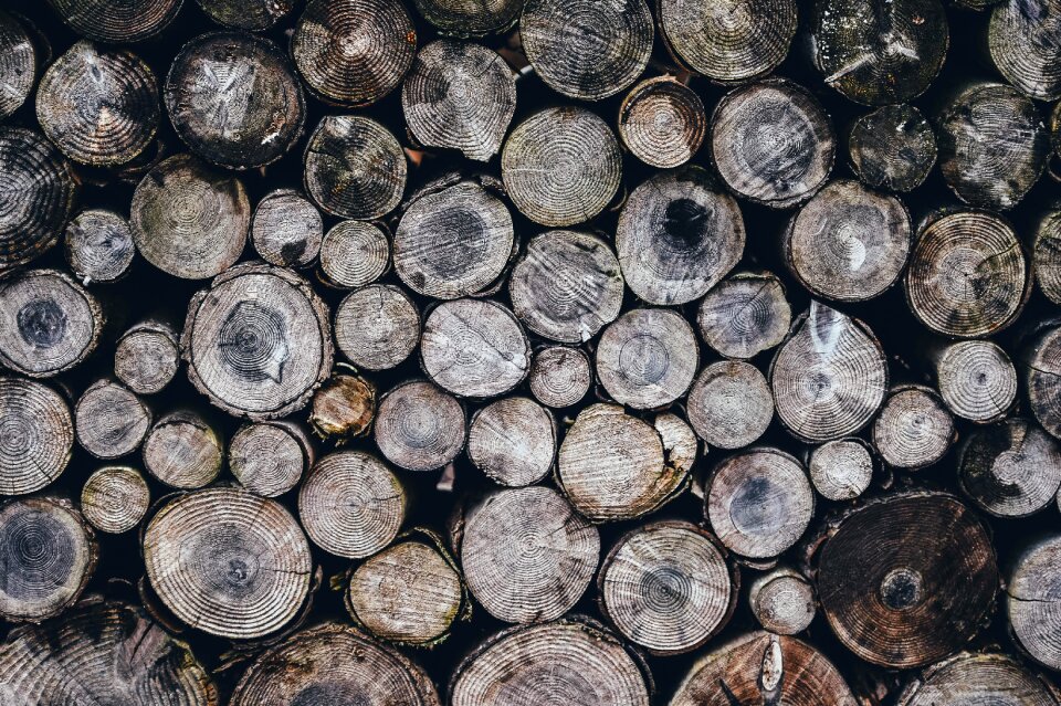 Wood gray wood gray pattern