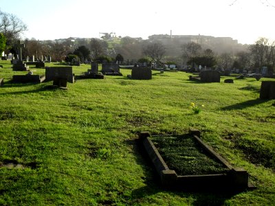 Meadowview Jewish Cemetery, Meadowview, Brighton (February 2011) (3)