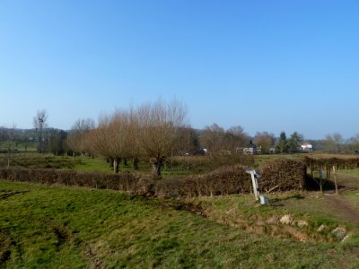 Mechelen-Kasteel Hurpesch (4)