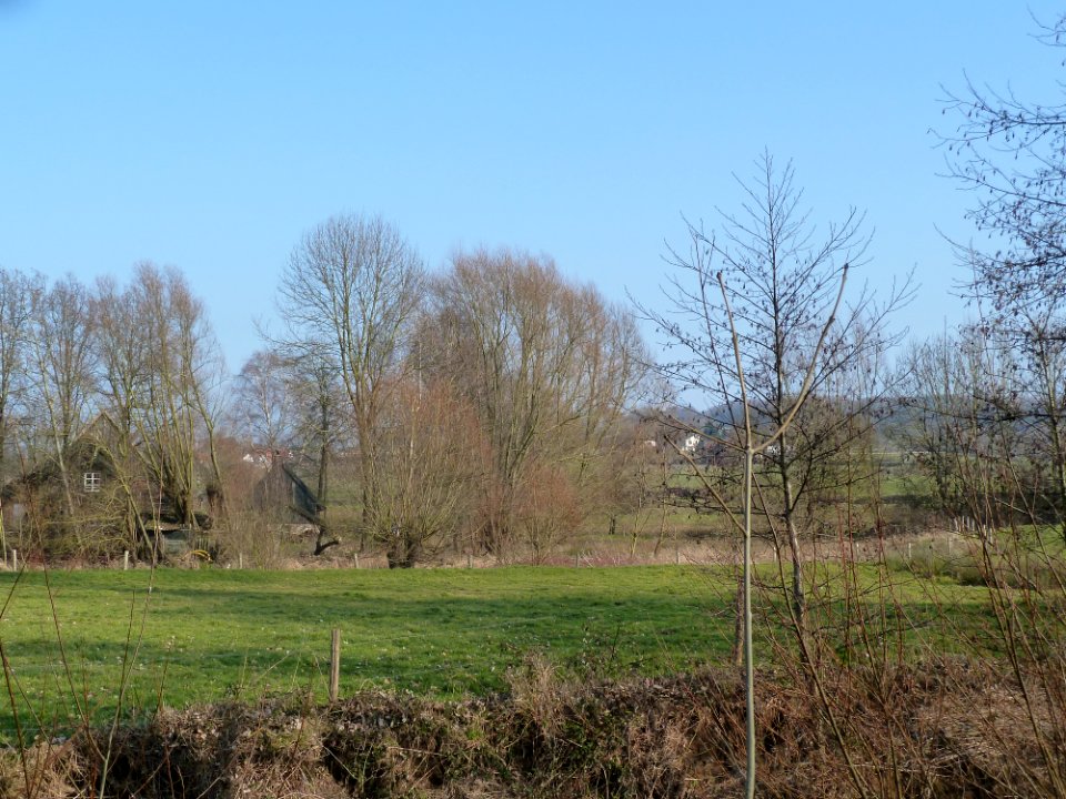 Mechelen-Kasteel Hurpesch (14)