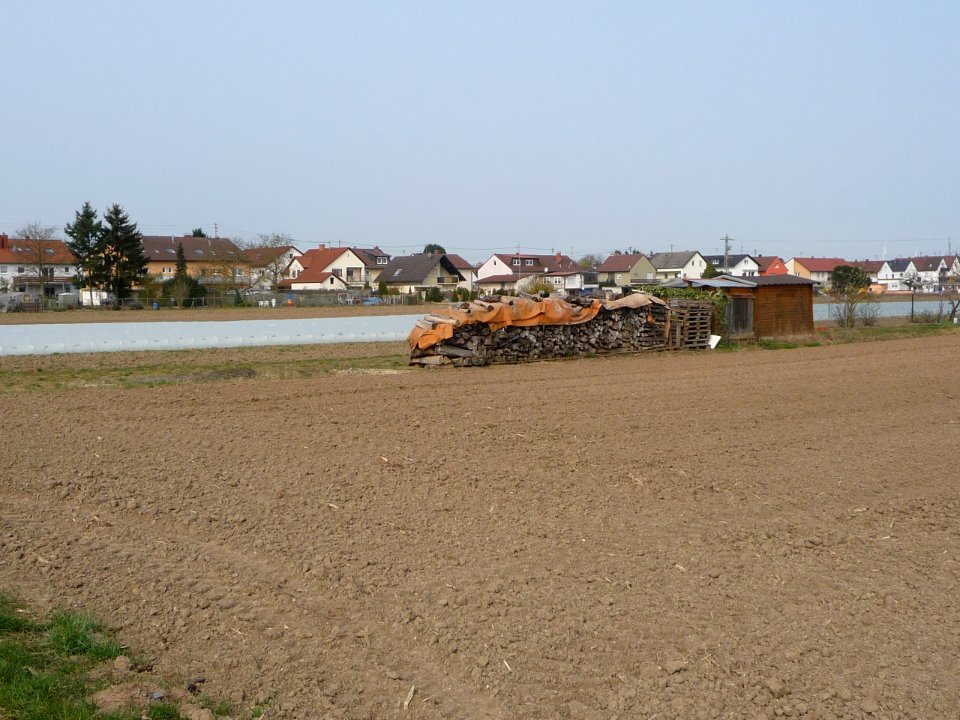 Mechtersheim 04