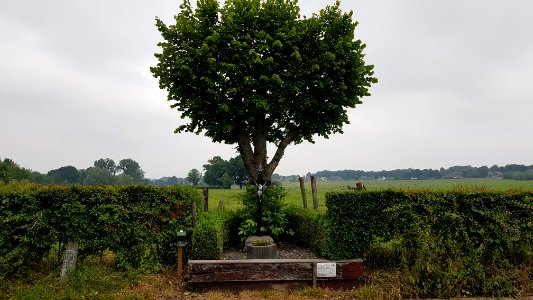 Mechelen-Wegkruis ter hoogte van Hurpescherweg 4 (3)